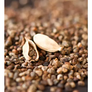 Cardamom Seeds