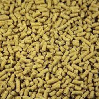 Cattle Feed Supplement