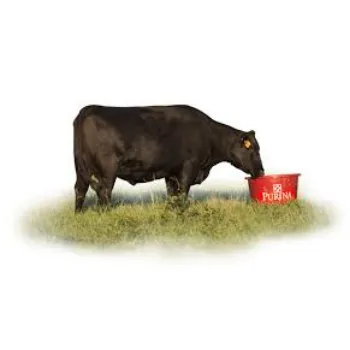 Cattle Feed Supplement