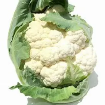 Organic Cauliflower