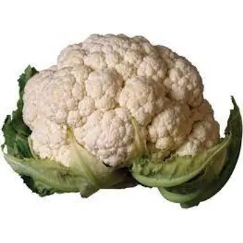 Organic Fresh Cauliflower