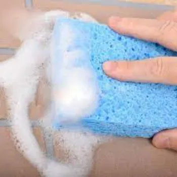 Essential Cellulose Sponge