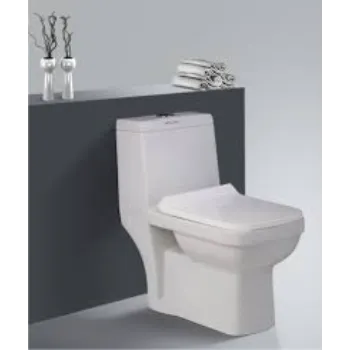 Modern Ceramic Toilet