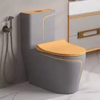 Grey Ceramic Toilet