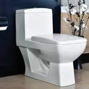 Ceramic Toilet