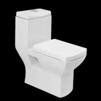 Ceramic Western Toilet