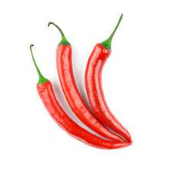 Organic Dried Red Chilli