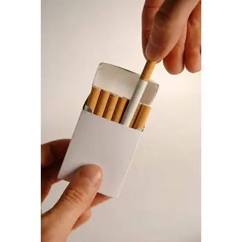 Cigarette Card Holder