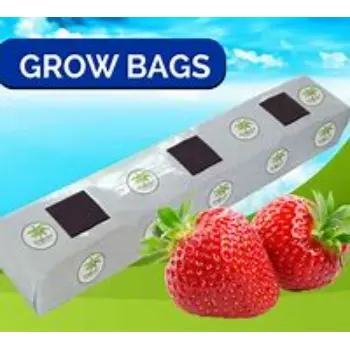 Light Weight Coco Peat Grow Bag