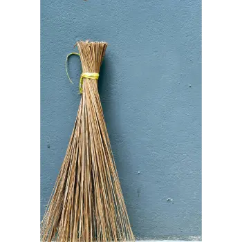 Coconut Stick Broom