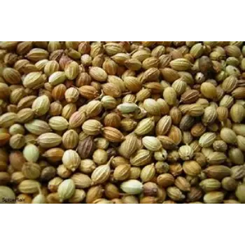 Coriander Seed