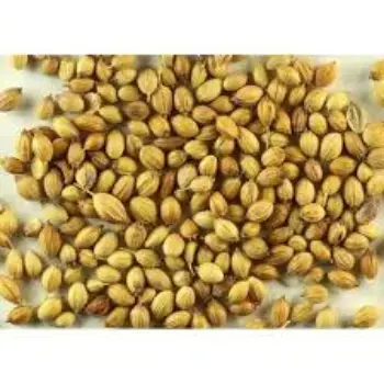 Coriander Seed