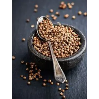 Coriander Seed