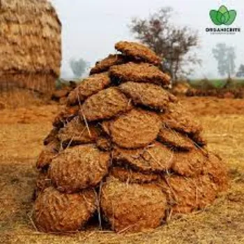 Cow Dung Cake