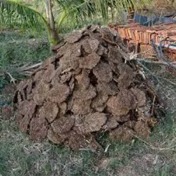 Cow Dung Cake