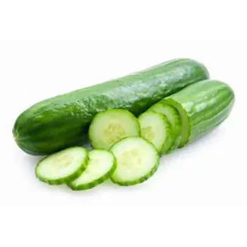 Organic Cucumber