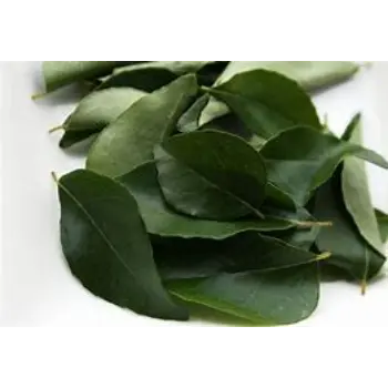 Curry Leaves