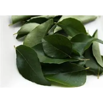 Curry Leaves