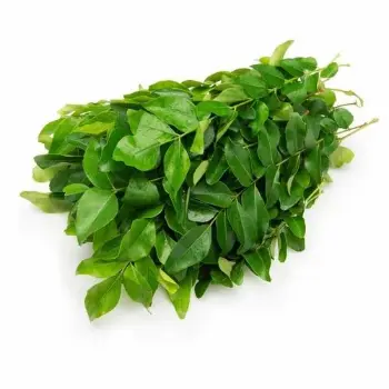 Curry Leaves