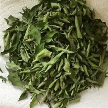 Curry Leaves