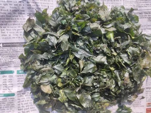  Organic  Curry Leaves