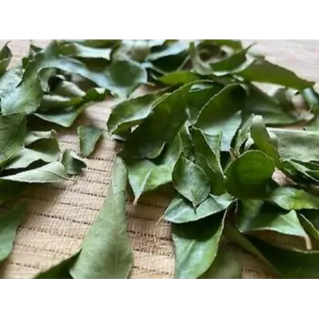 Natural Curry Leaves