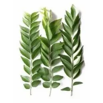 Natural Curry Leaves