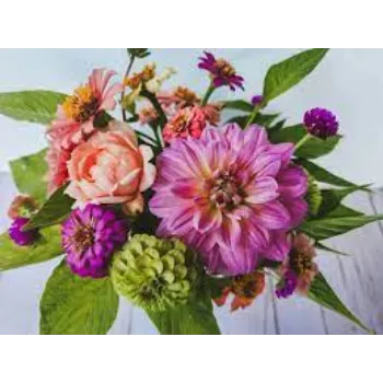 Natural Cut Flowers