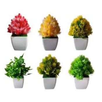 Fresh Decorative Plant