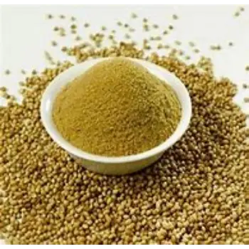 Dhaniya Powder