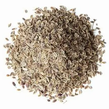 Dill Seeds