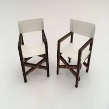 Comfortable White Director Chair