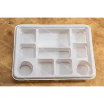  Disposable Compartment Plate