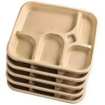 Disposable Compartment Plate