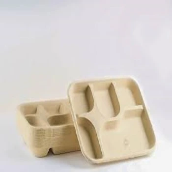 Disposable Compartment Plate