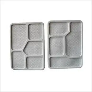 Disposable Food Tray