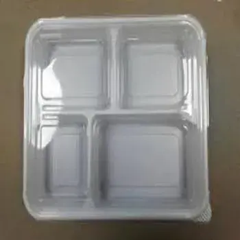 New Disposable Plastic Food Container