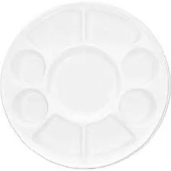 Disposable Plastic Plate