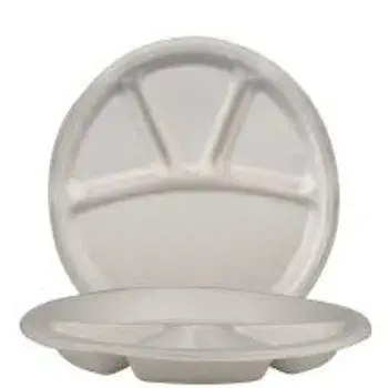 Disposable Plastic Plate