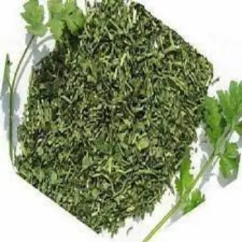 Dried Coriander Leaves