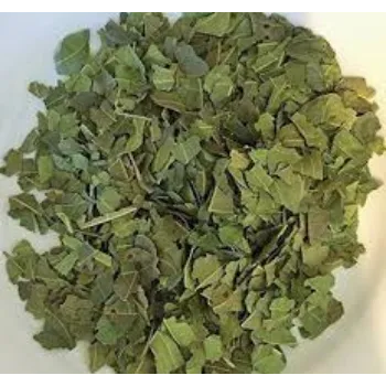 Dry Mango Leaves