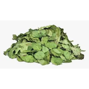 Dried Moringa Leaves