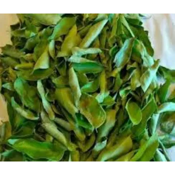 Dry Curry Leaves