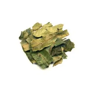 Effective Dried Mango Leaves