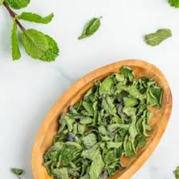 Effective Dried Mint Leaves