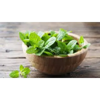  Dry Mint Leaves