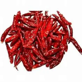 Fresh Dry Red Chilli