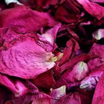 Dry Rose Leaves