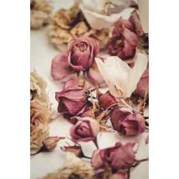 Natural Dry Rose