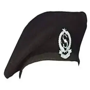 CISF Airport Sector Cap